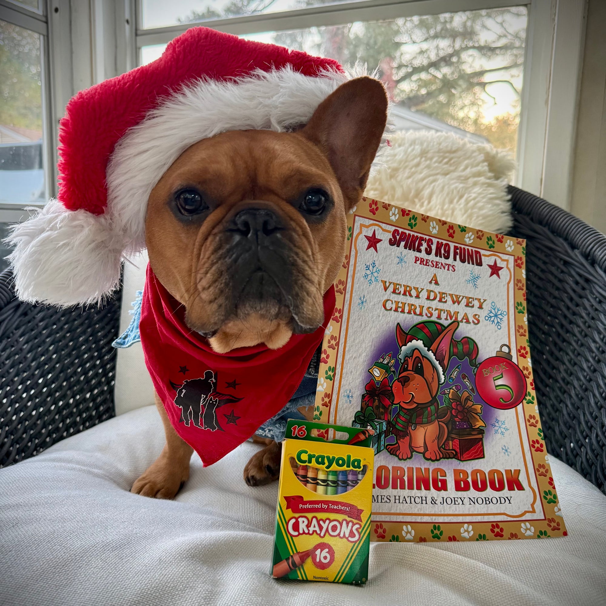 A Very Dewey Christmas Coloring Book 5