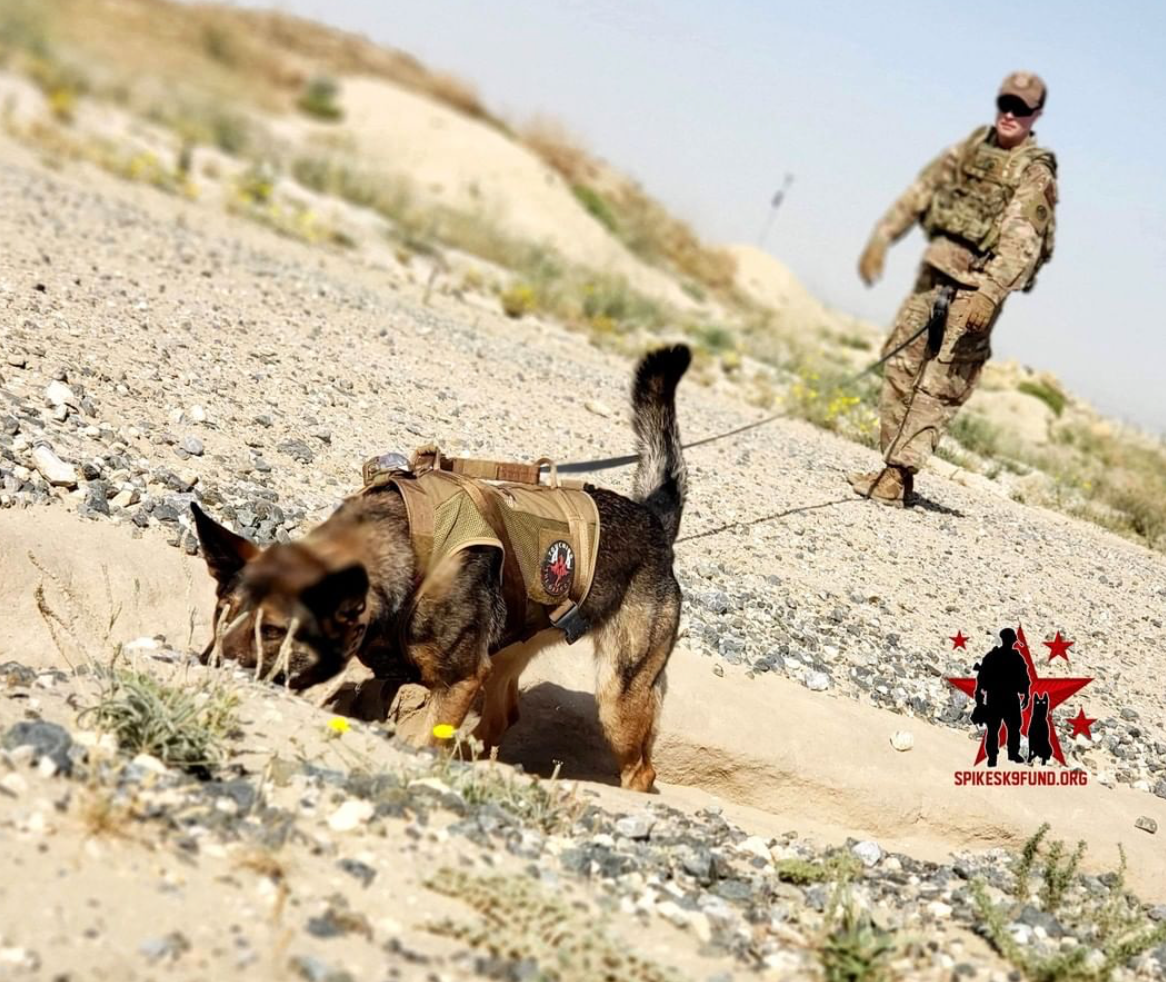 "Protect A K9" Package