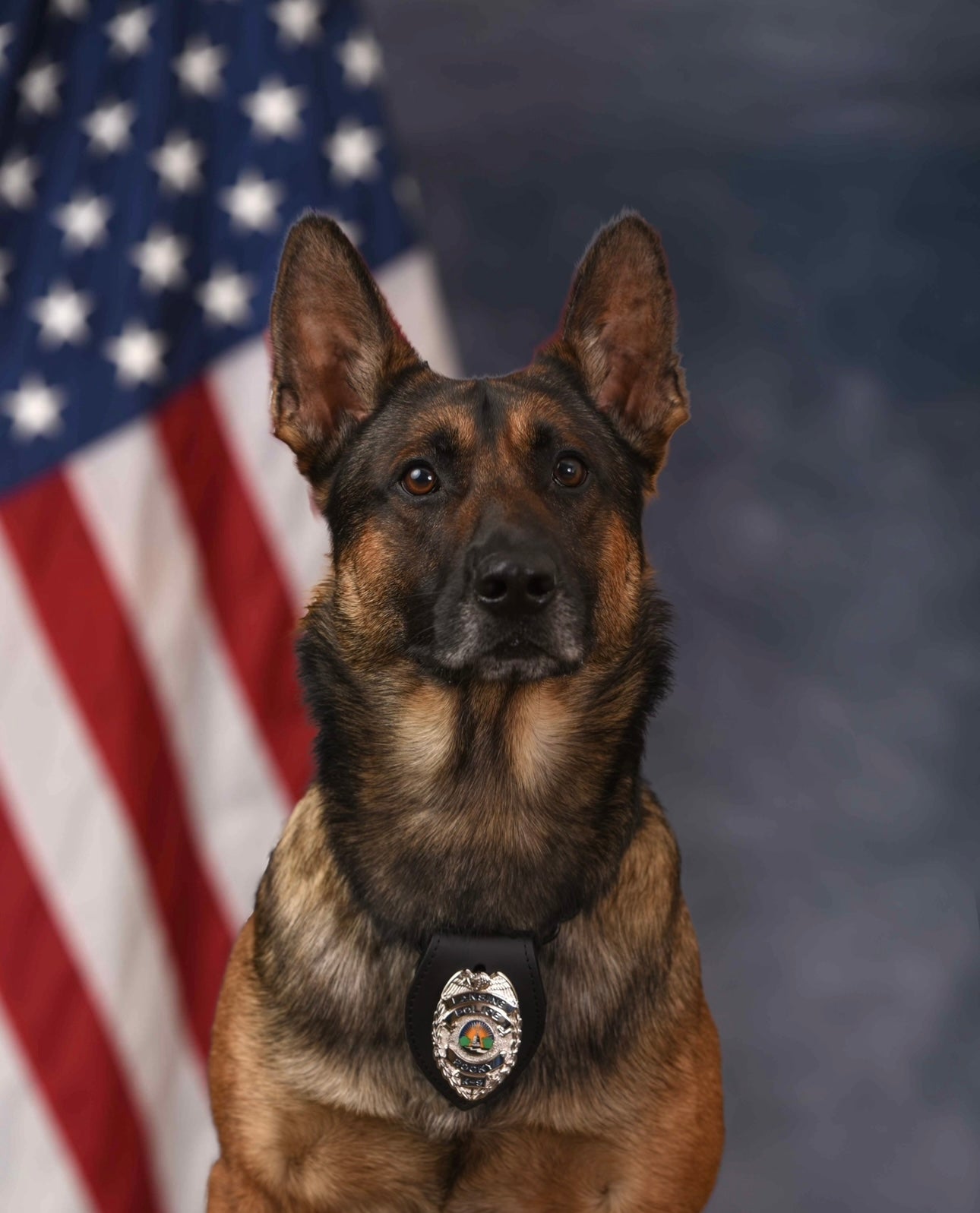 Lansing police K9 gets updated protective vest