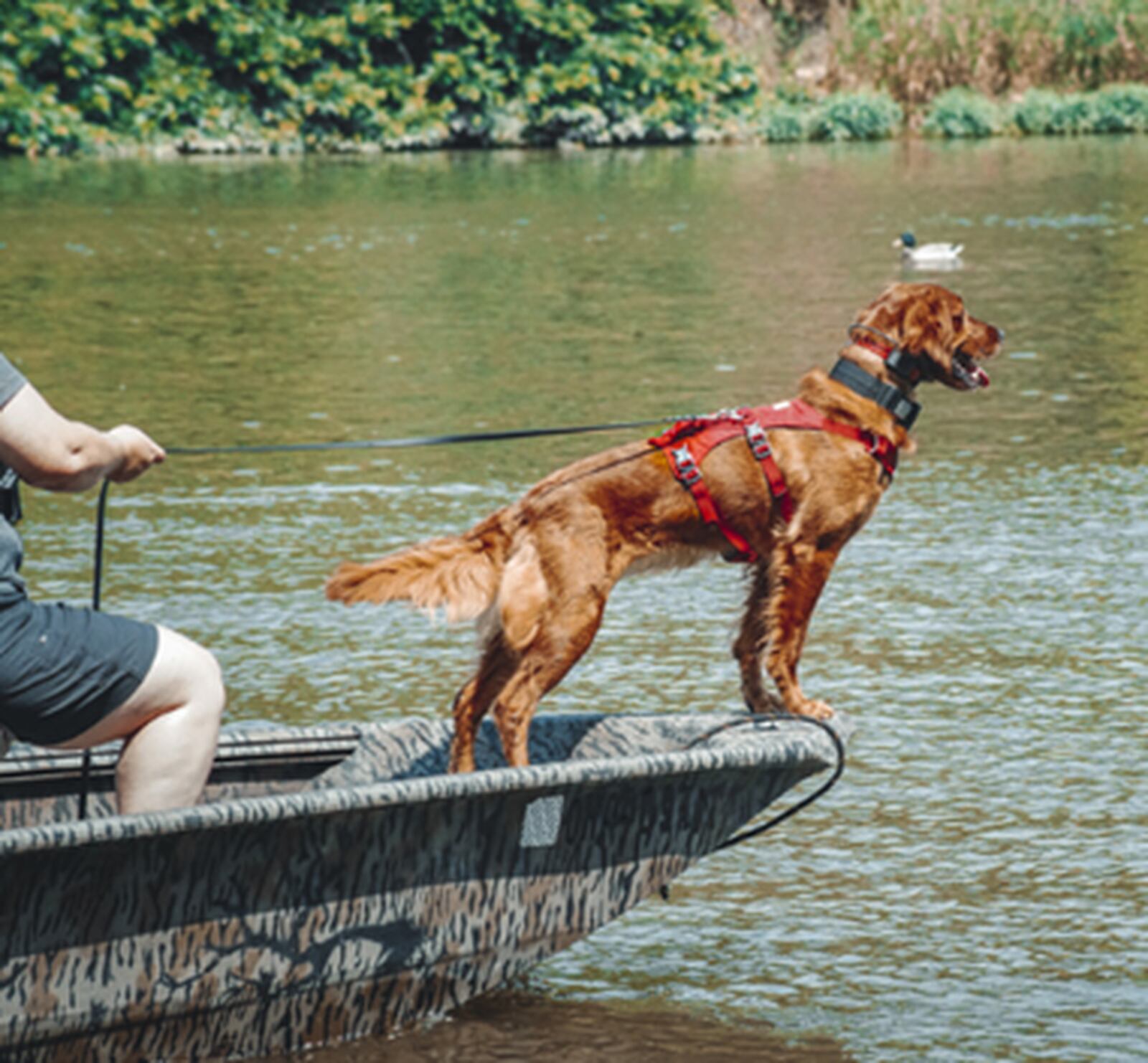 Nonprofit coming to Miami Valley to help K9s with life-saving training