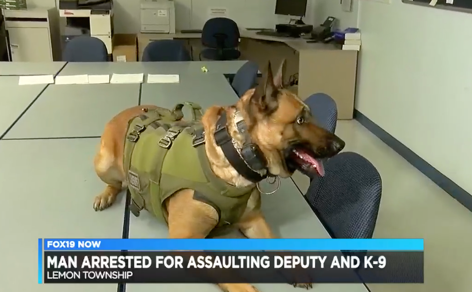 Man arrested for assaulting Butler County deputy, K-9