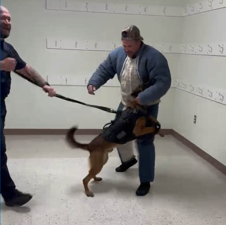 5 Virginia K9s get fitted for custom-fit ballistic vests