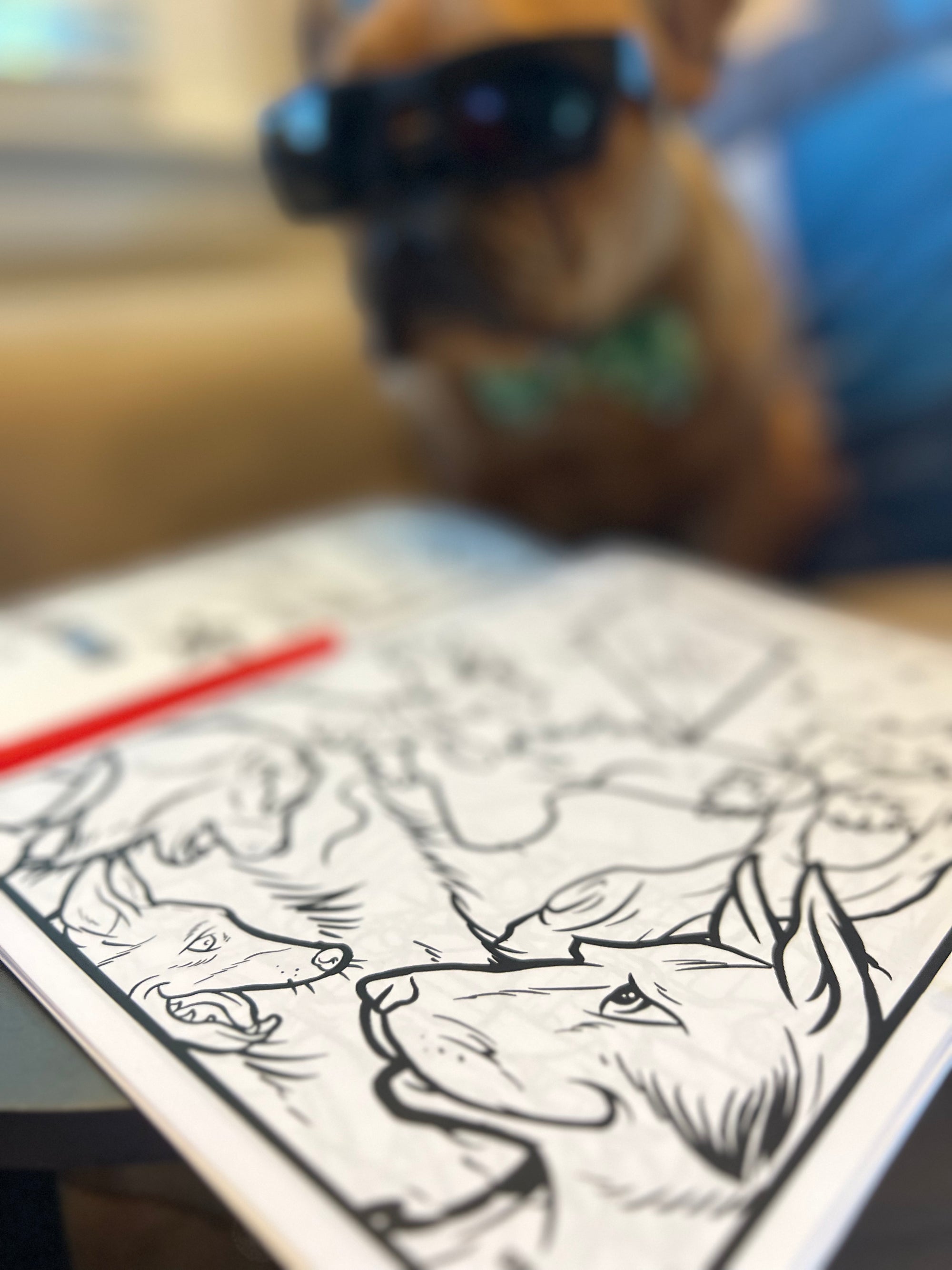 Summer Vacation - Dewey Edition!