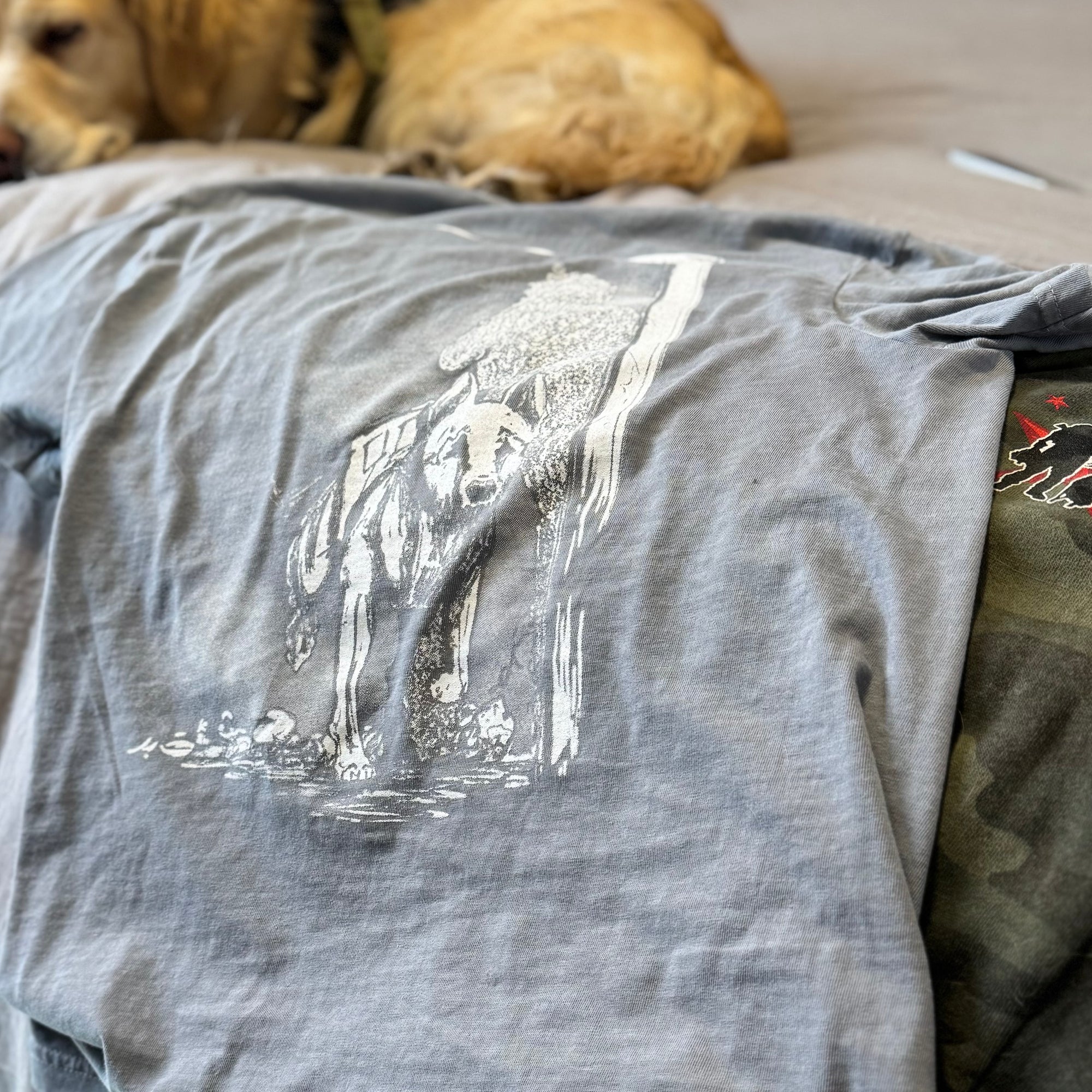 "Dog In" Shirt - Grey - Warpaint x _invadergirl_