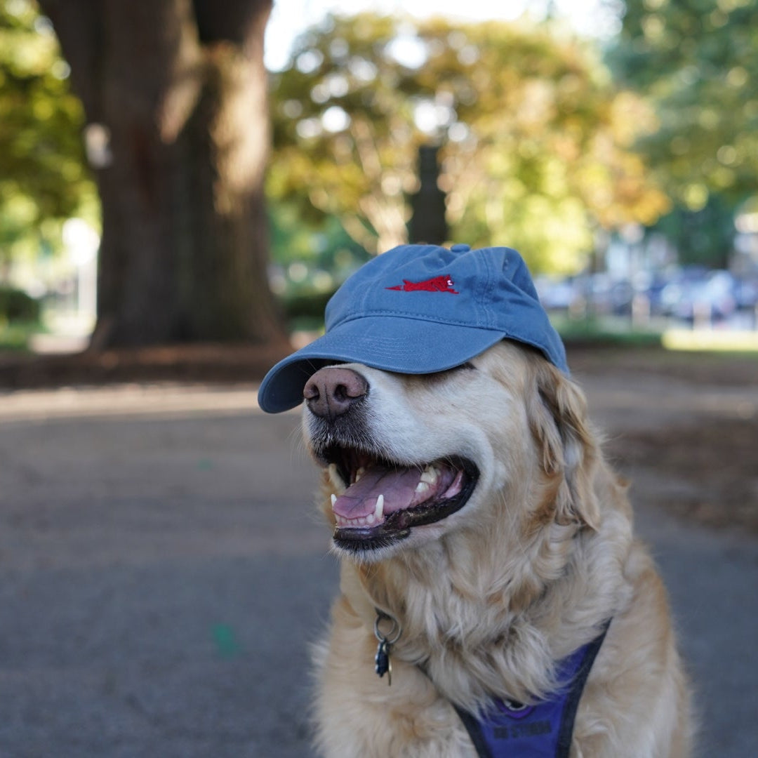 Hairmissile Dad Hat - Slate Blue