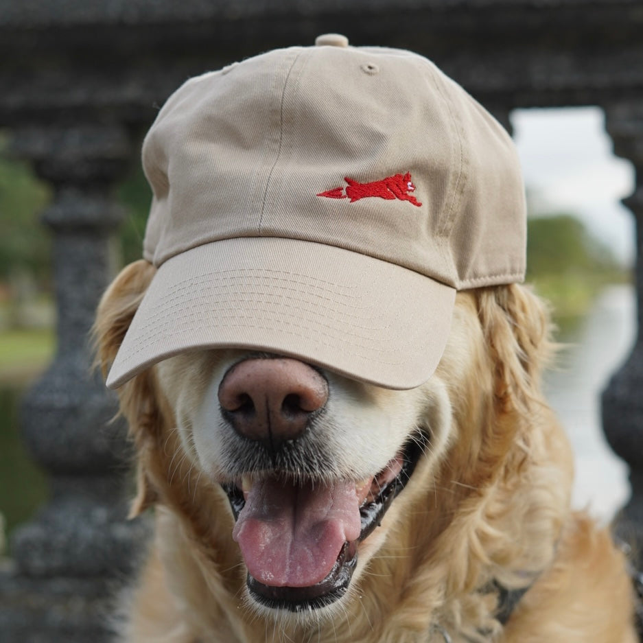 Hairmissile Dad Hat - Sand