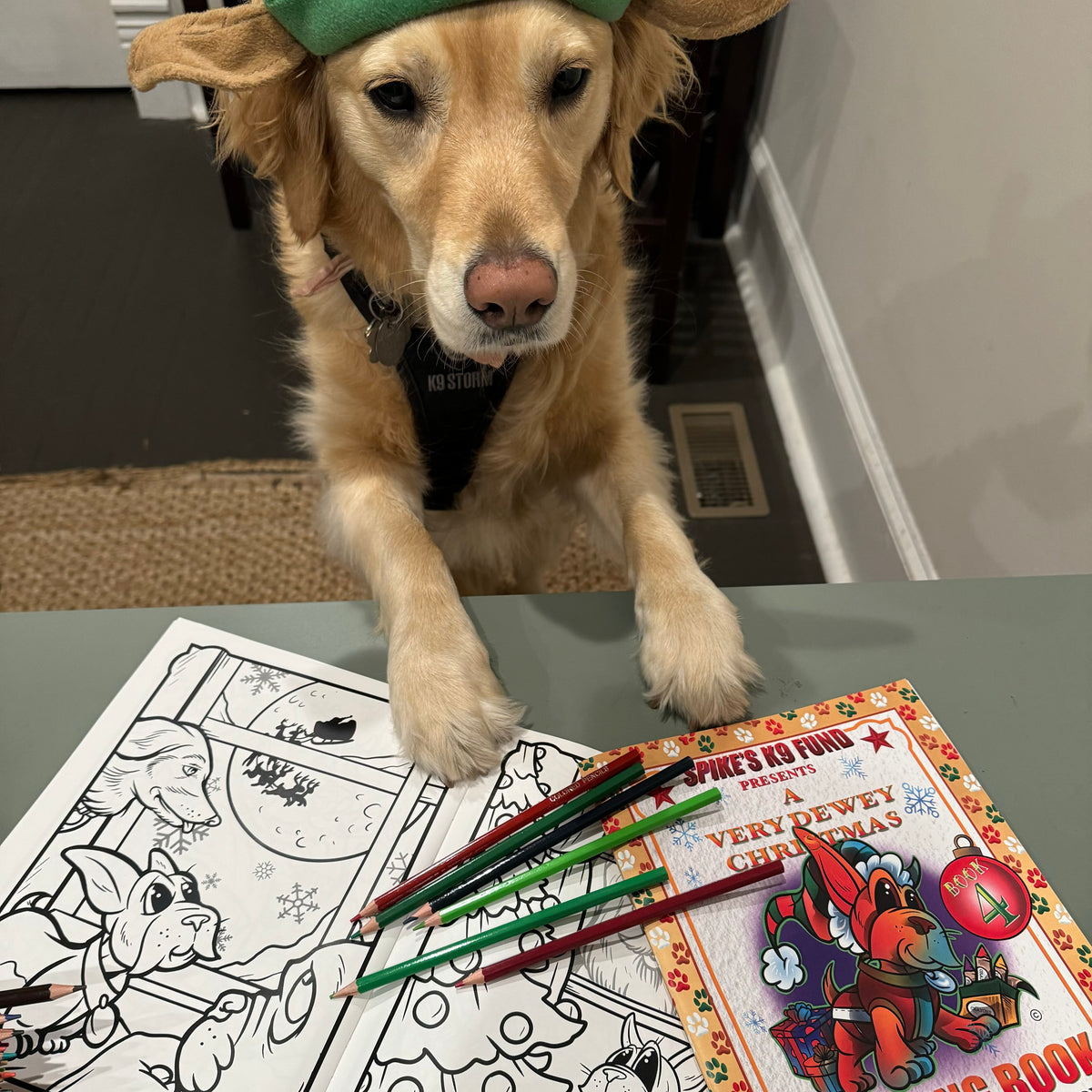 A Very Dewey Christmas Coloring Book 4