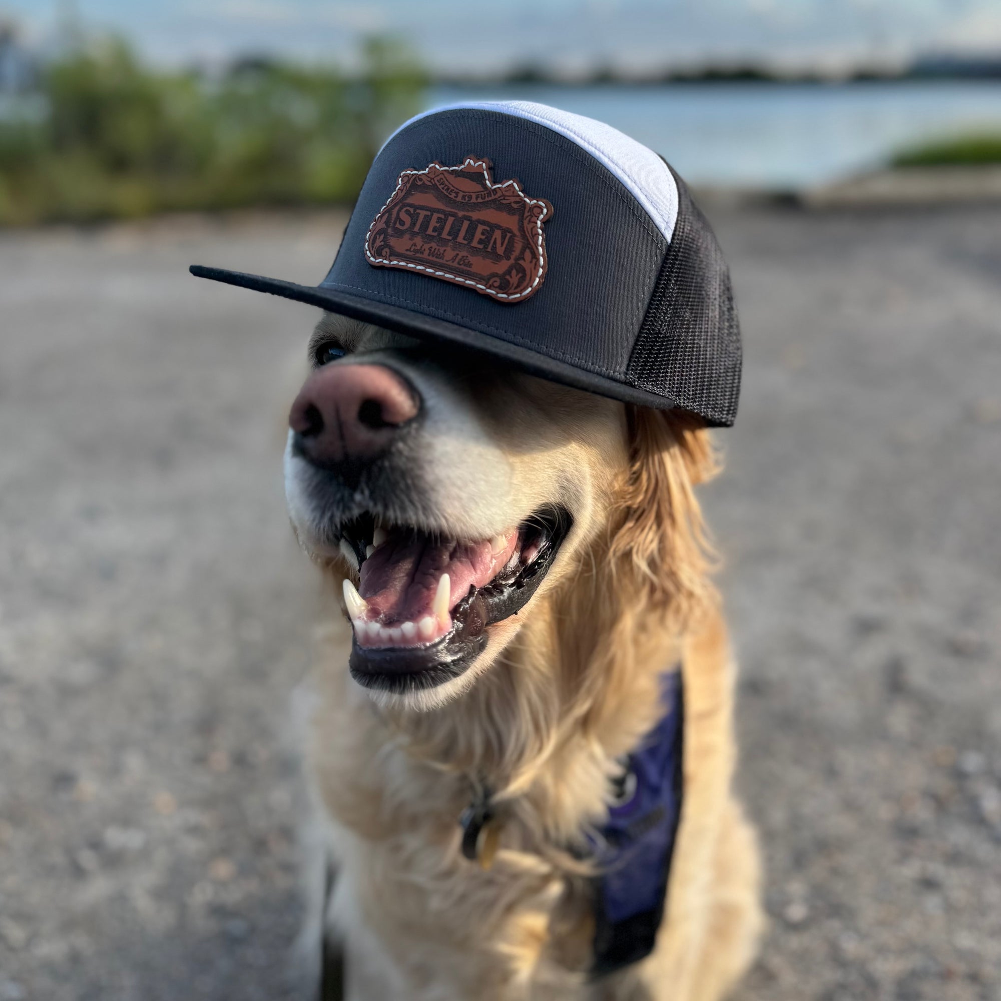 OG Logo 7 Panel Trucker Hat w/ Leather Patch