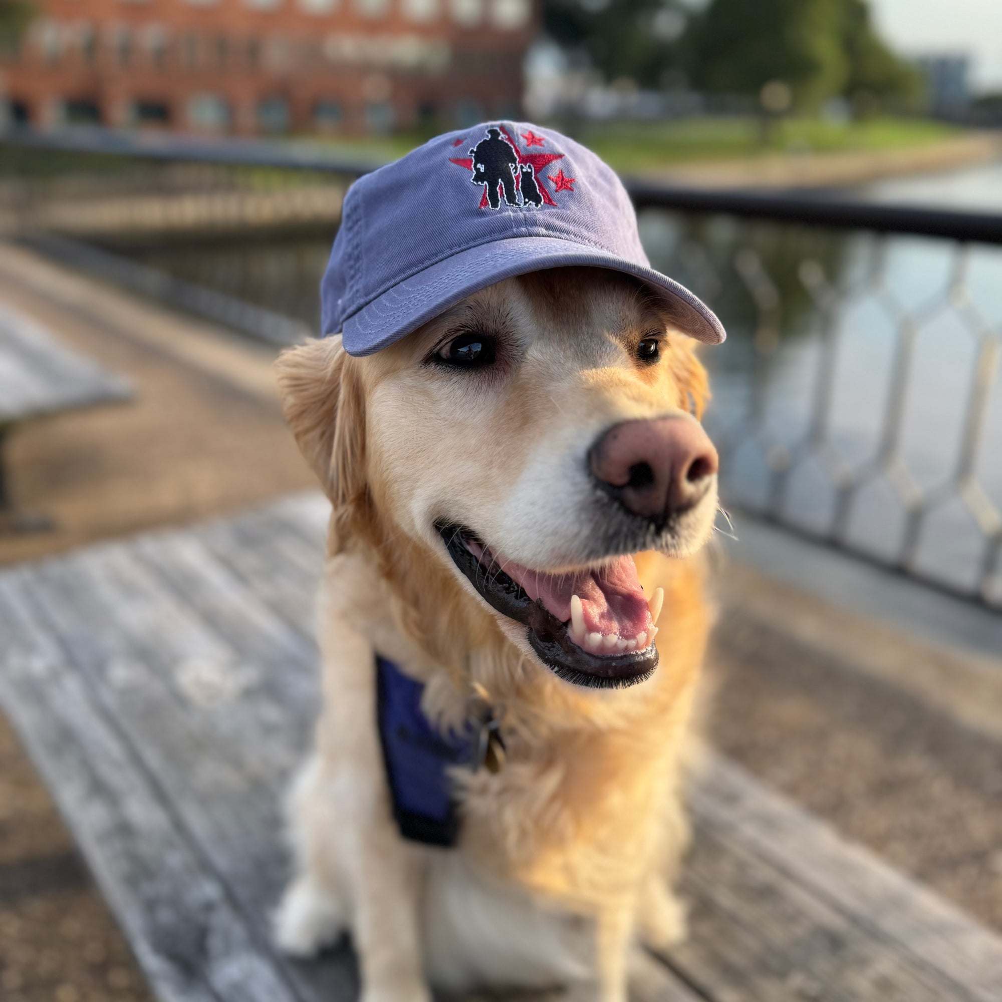 OG Logo Dad Hat - Slate Blue