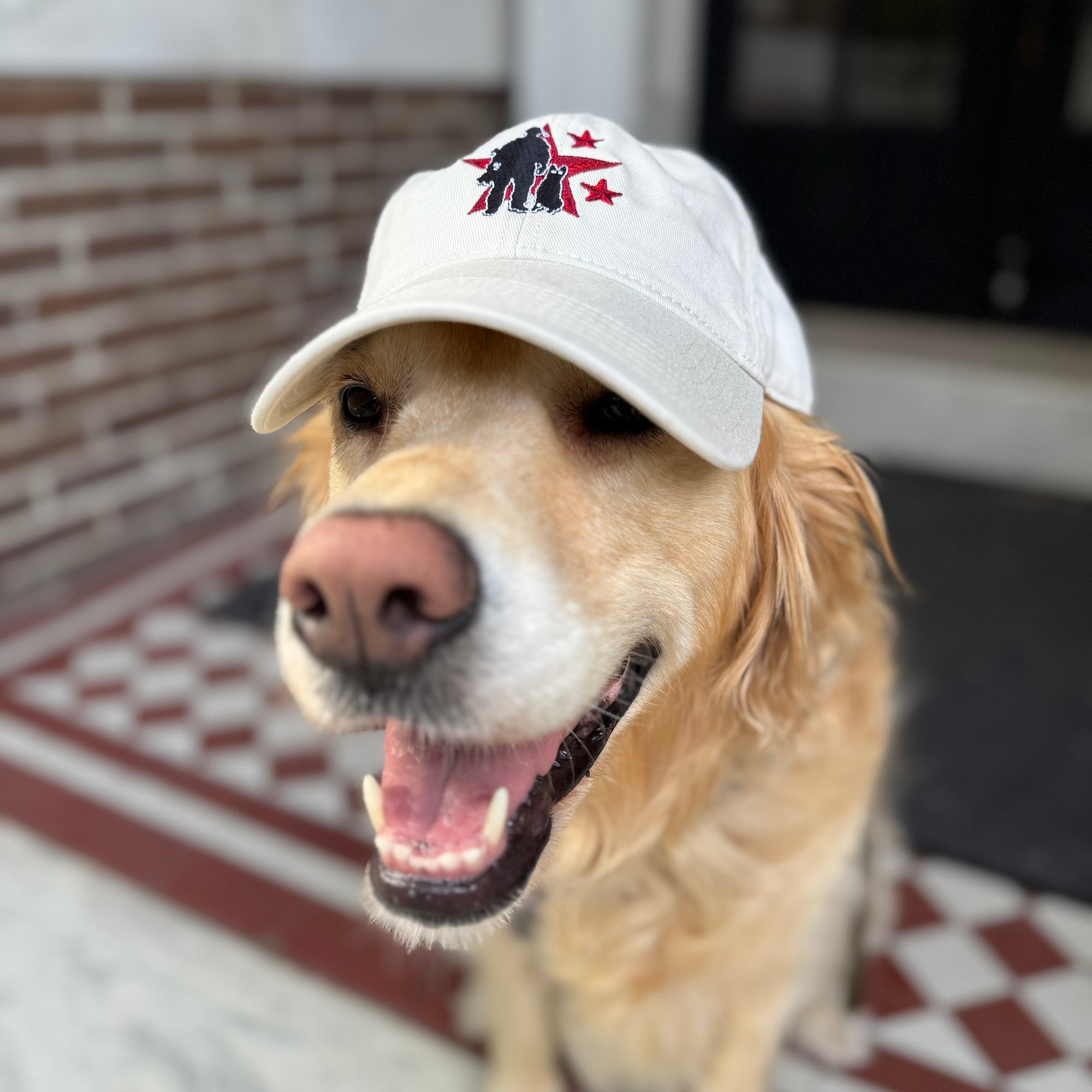 OG Logo Dad Hat - Stone
