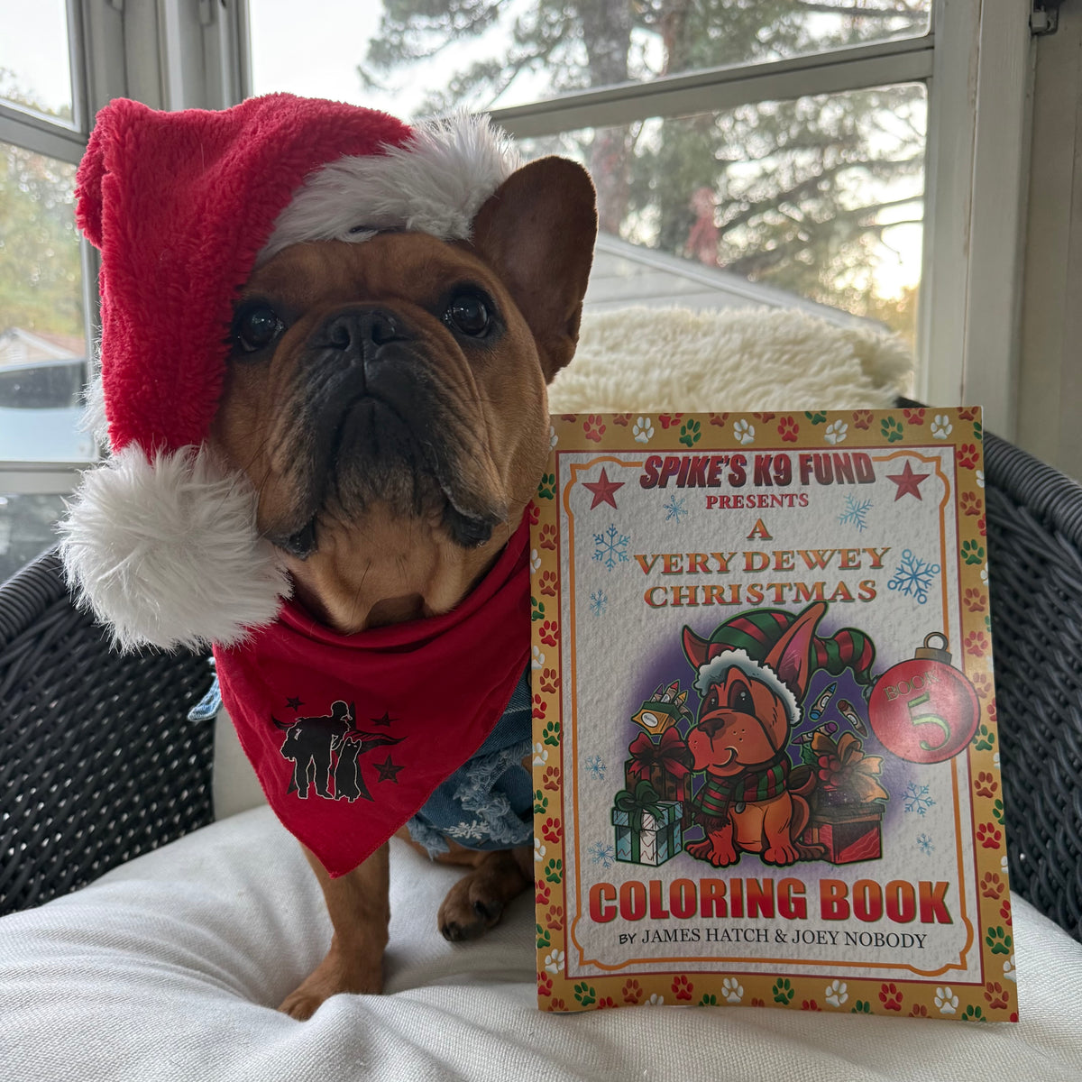 A Very Dewey Christmas Coloring Book 5