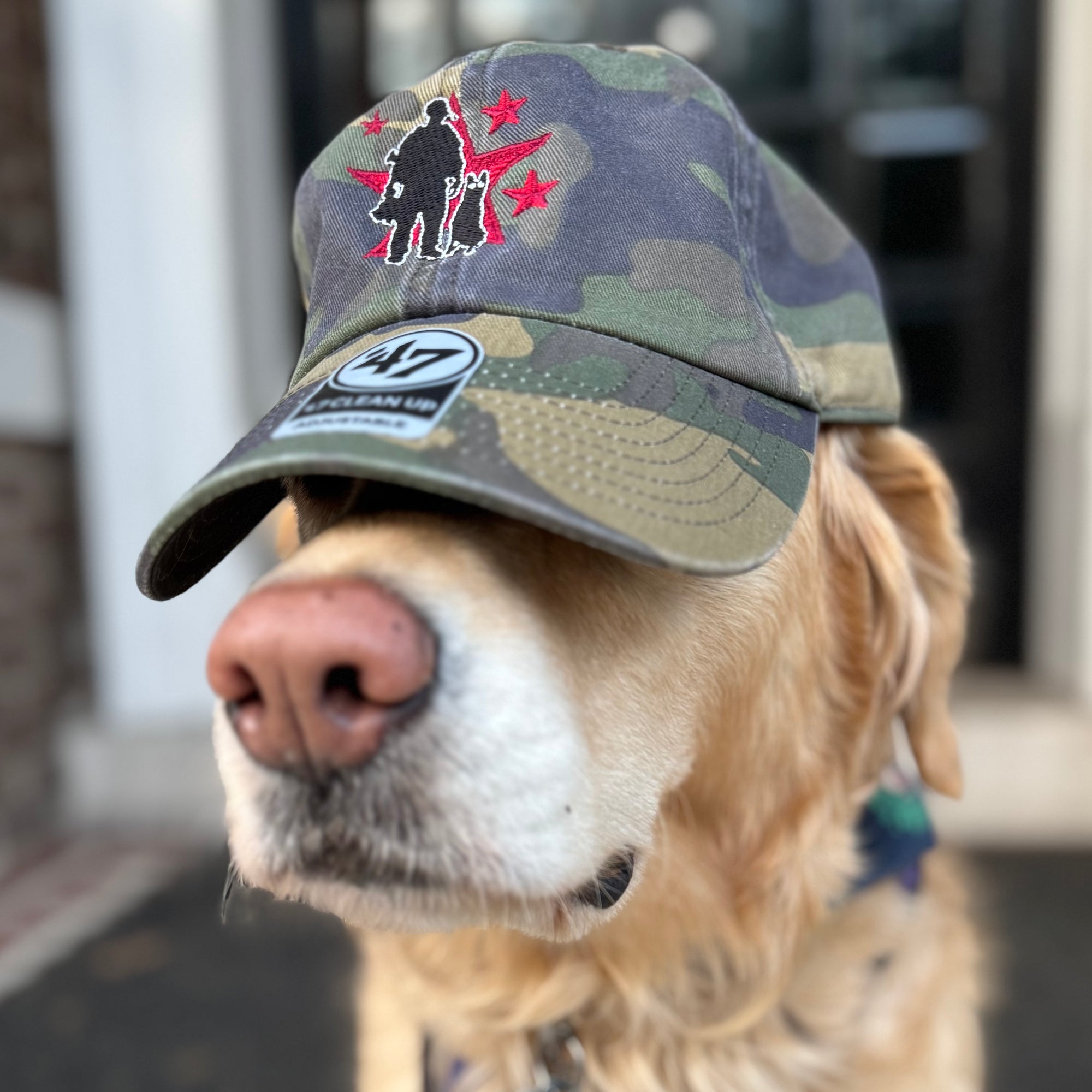 OG Logo Dad Hat - Woodland