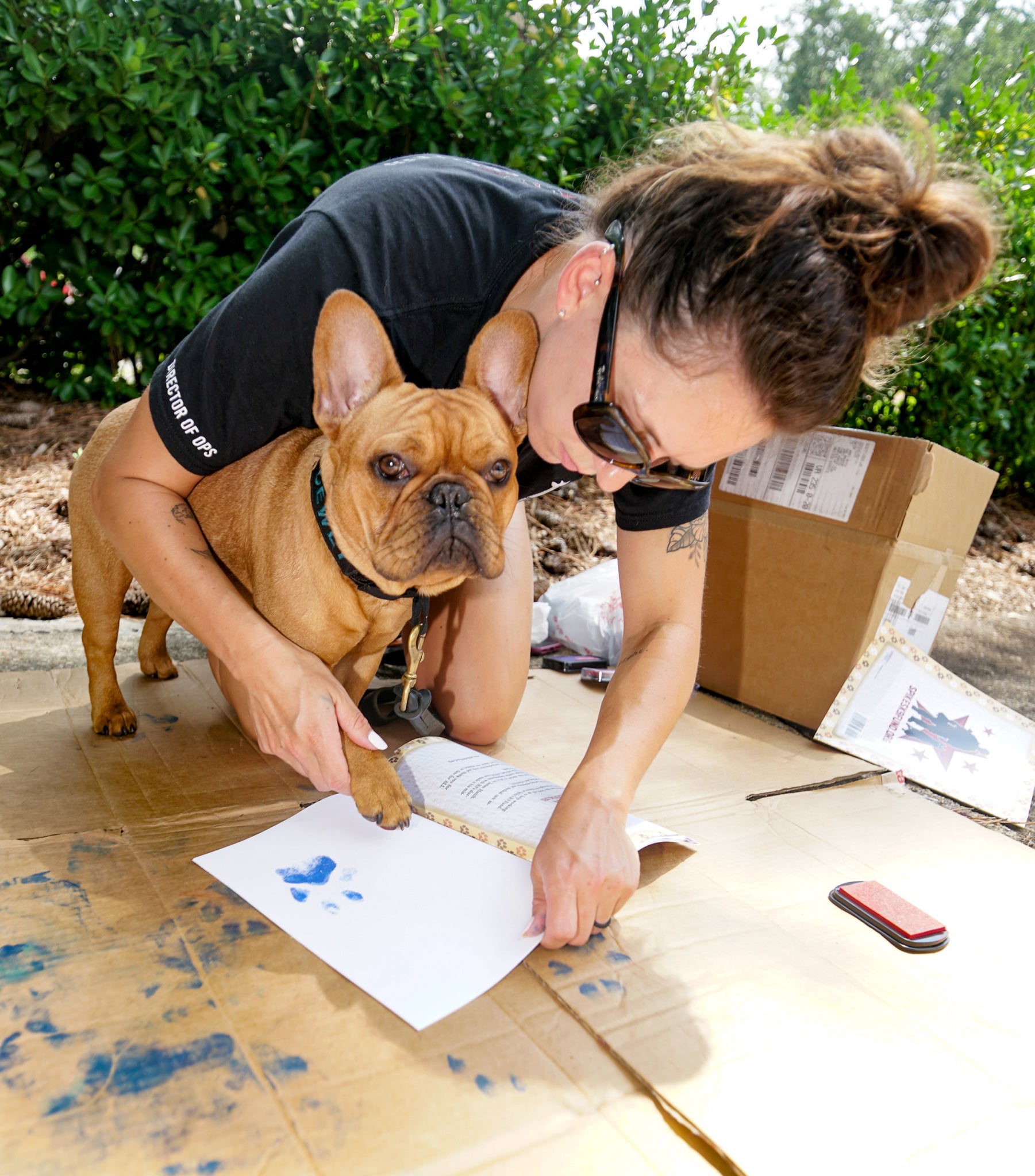 Dewey the Puppy Book