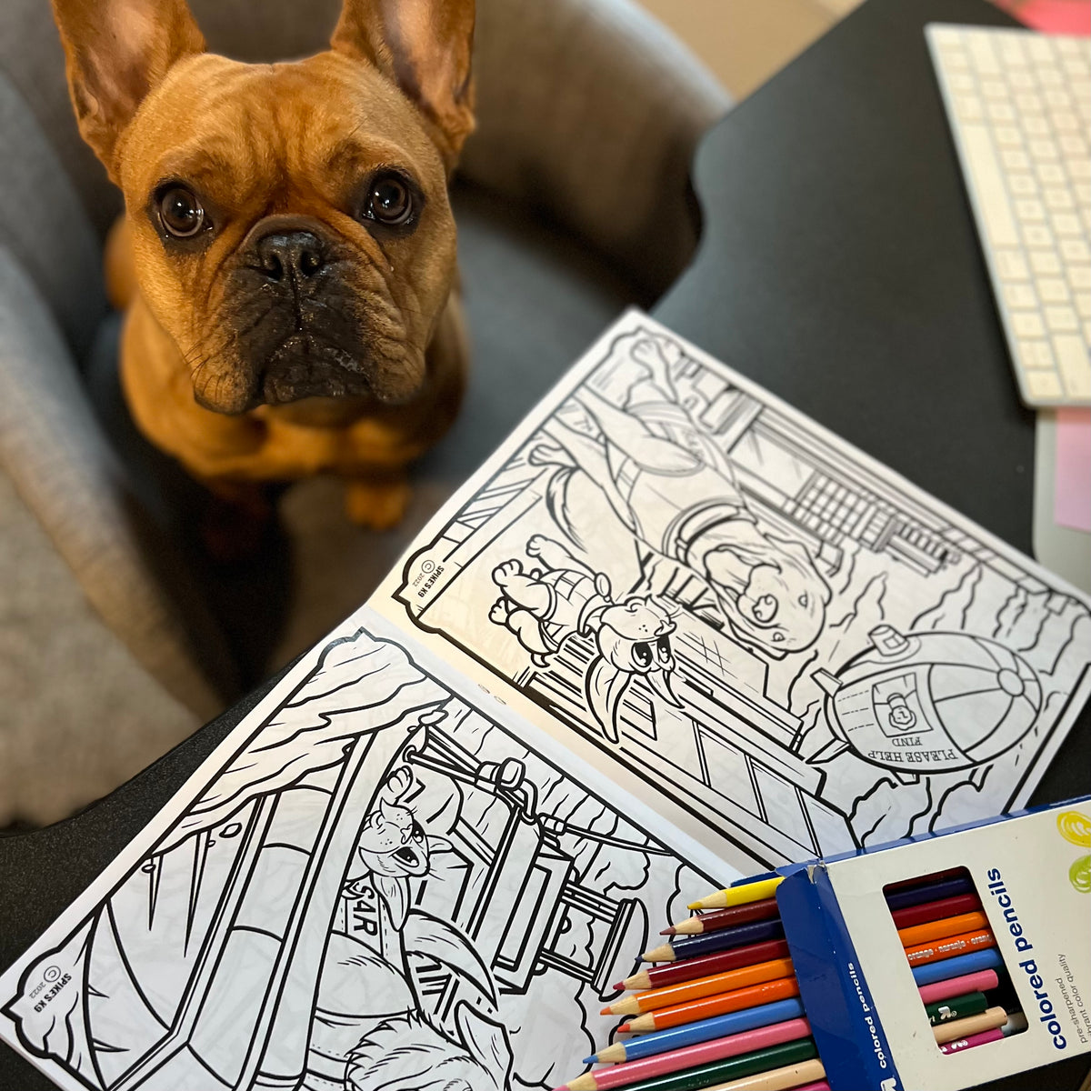 Dewey the Puppy Coloring Book - SAR Edition
