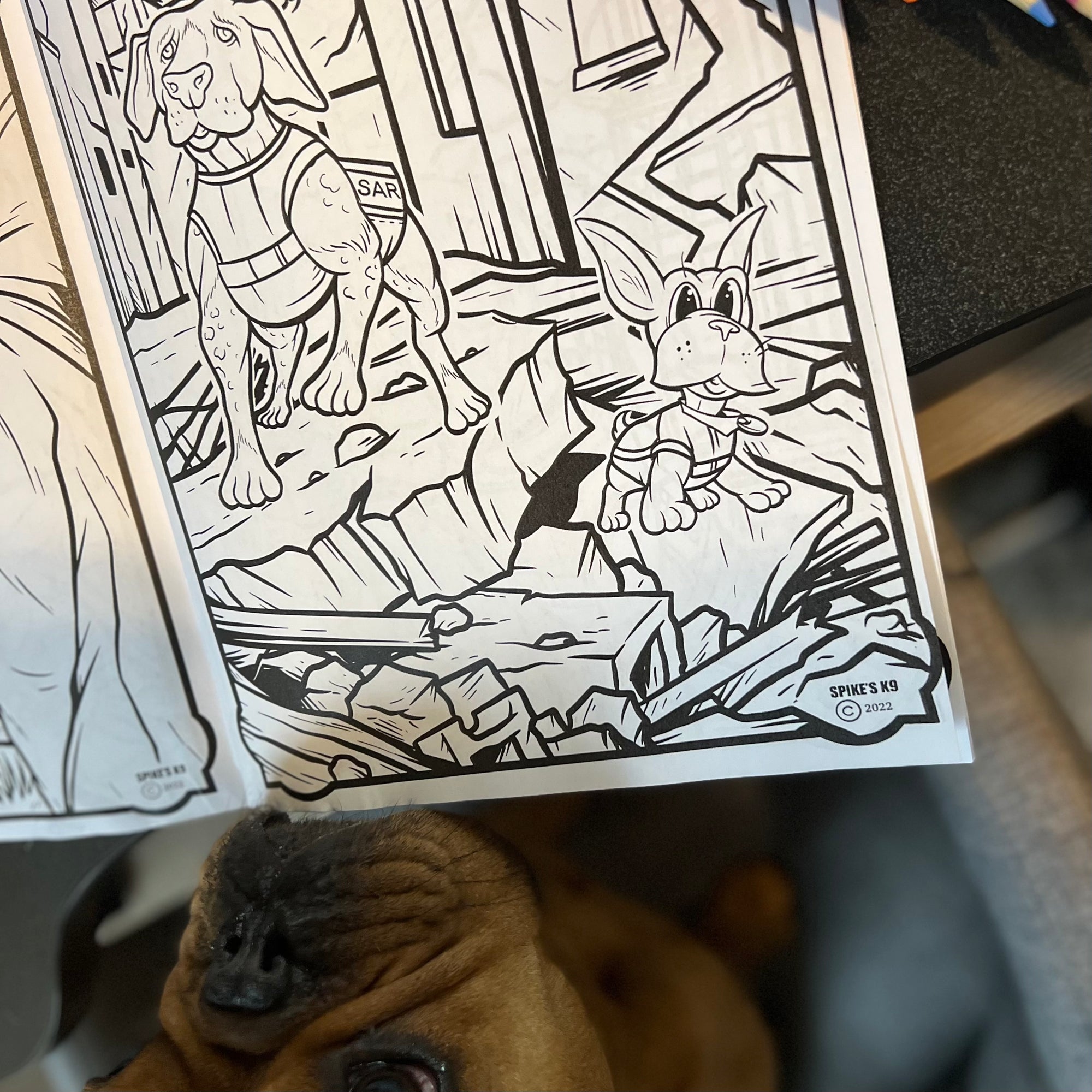 Dewey the Puppy Coloring Book - SAR Edition