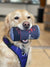 Spike's K9 Fund x Bold Mariner Can Dog Toy - STELLEN!
